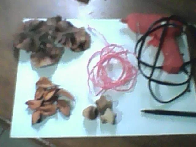 IMG0737A.jpg