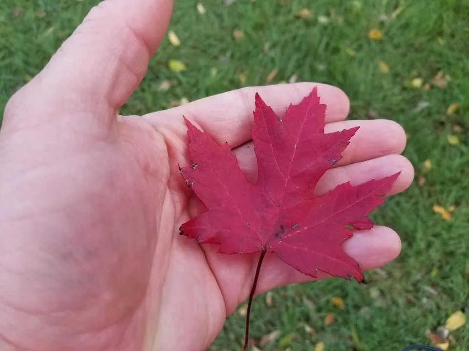 20191013_182039.jpg