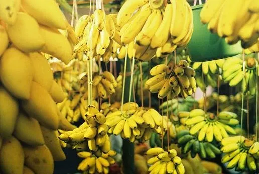 bananas (1).jpg