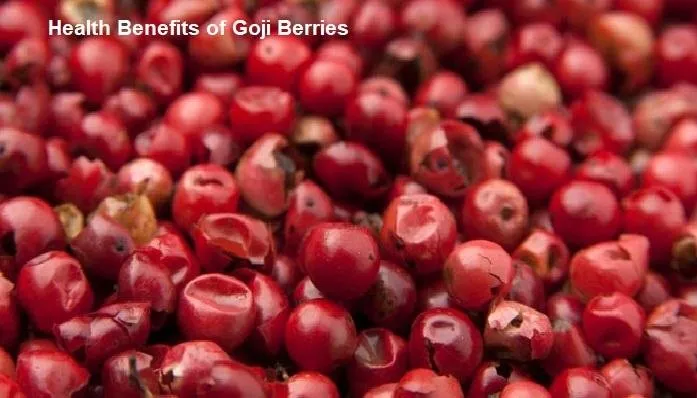 Health Benefits of Goji Berries.jpg