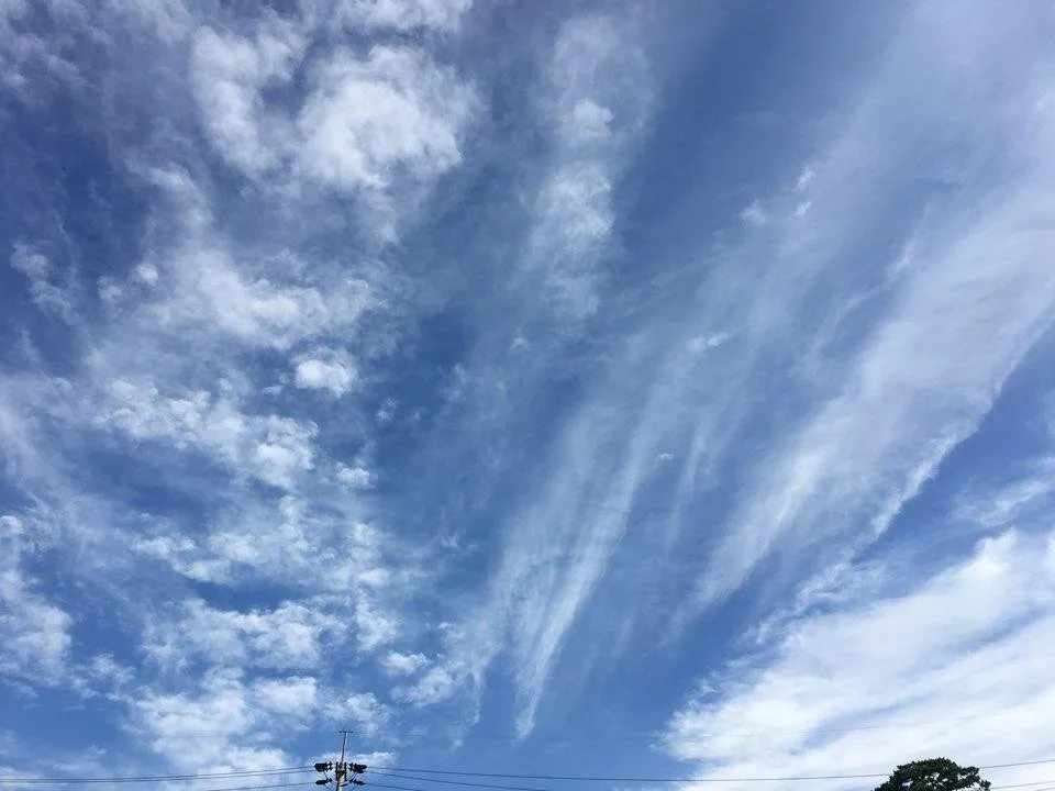 1530715607642.jpg