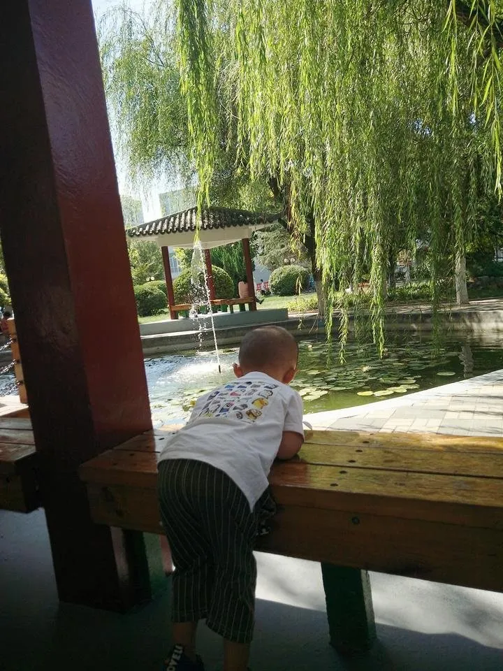 IMG20180908104734.jpg