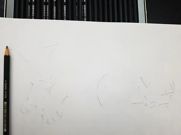 Cats01.jpg