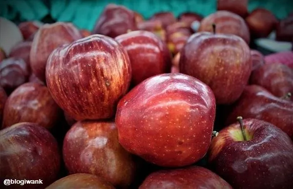 colourfulphotography-readapple.jpg
