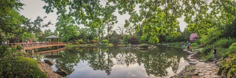 LRM_EXPORT_20180502_081817.jpg