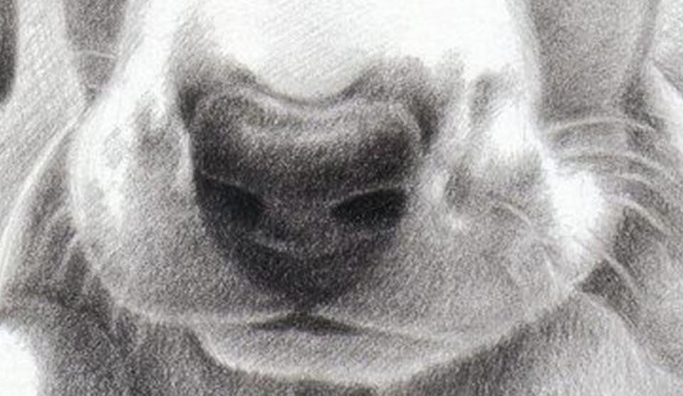 P3.jpg