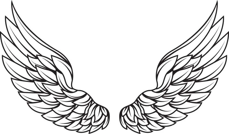 wings-vector-element_GkTXg3L__SB_PM.jpg