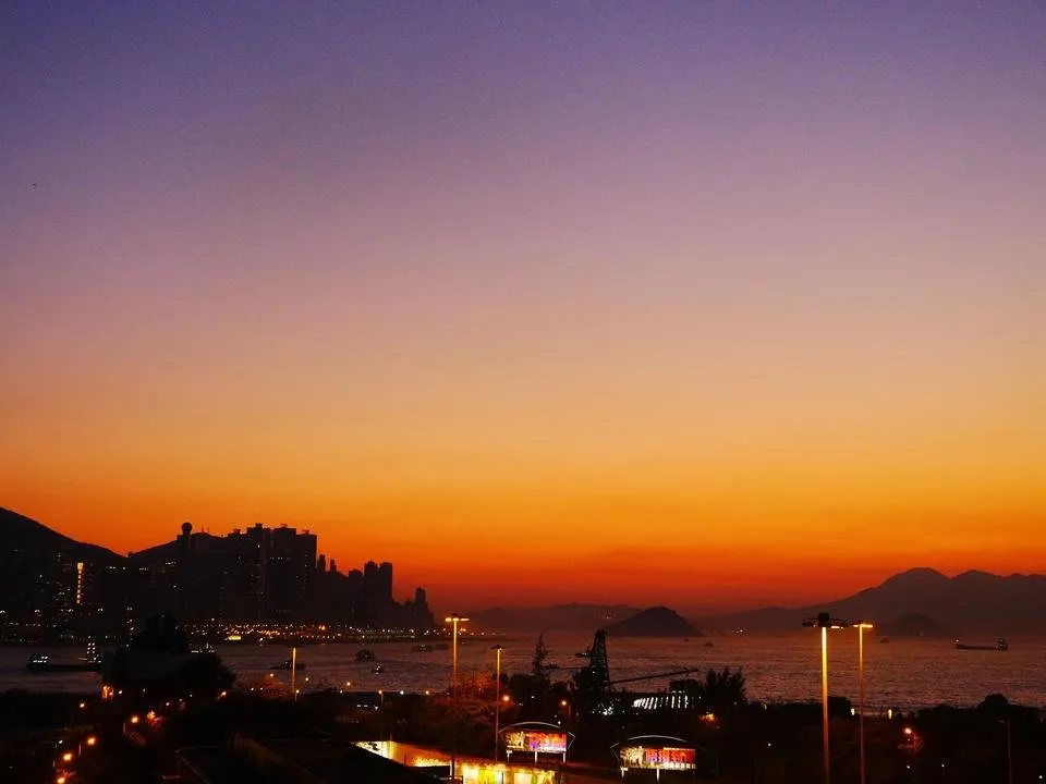 P1000313.jpg
