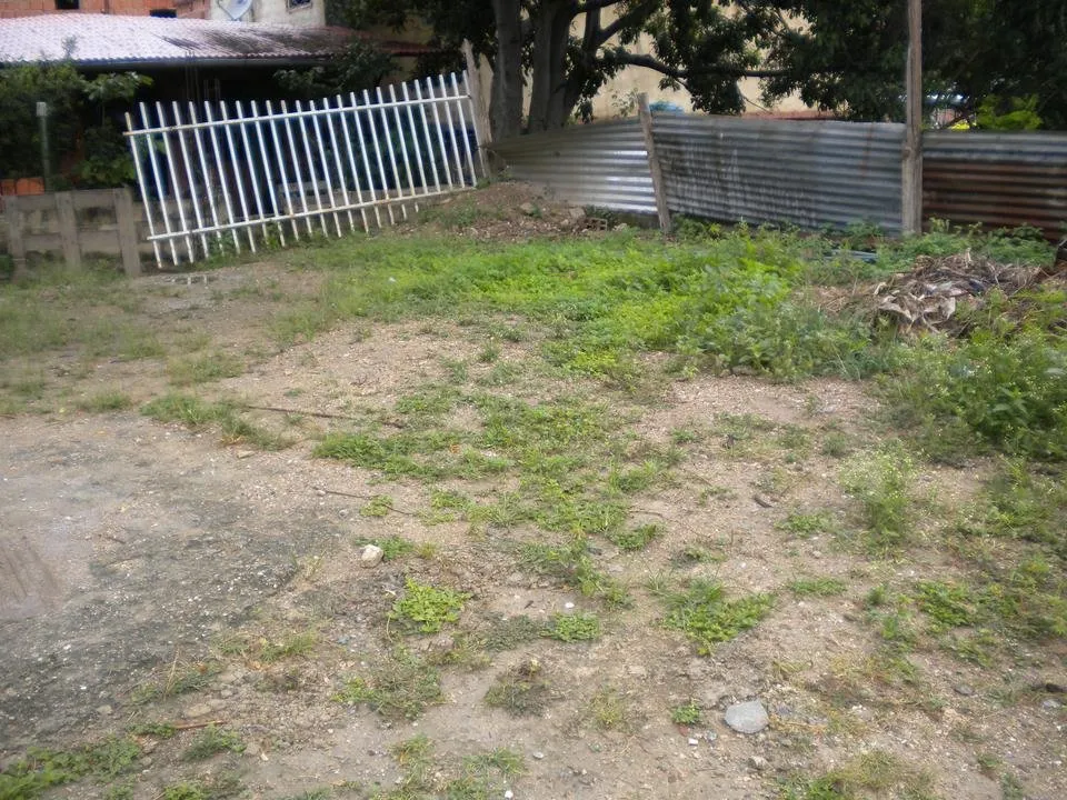 DSCN3700.JPG