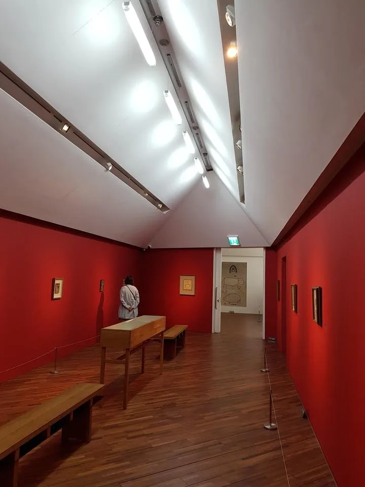 20190501_162924.jpg