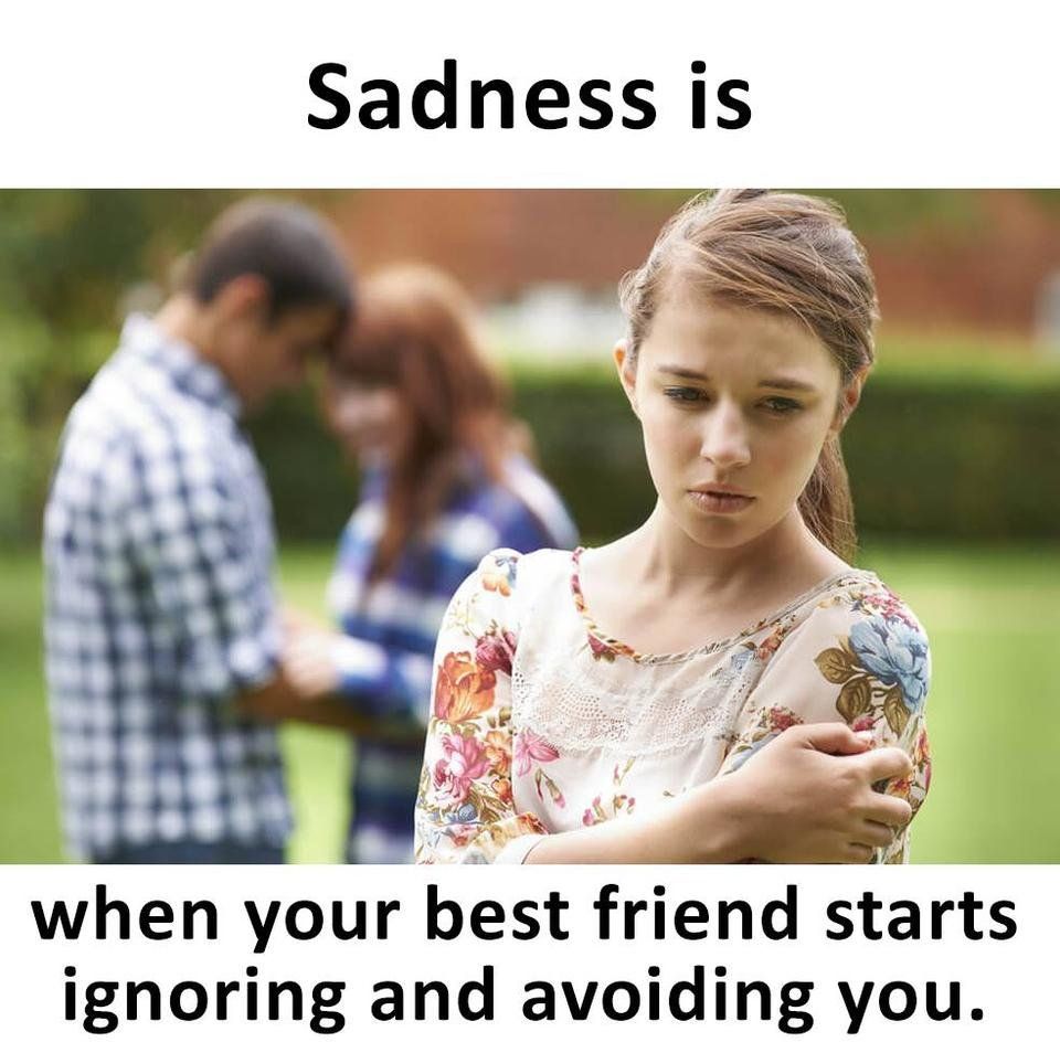 461.jpg