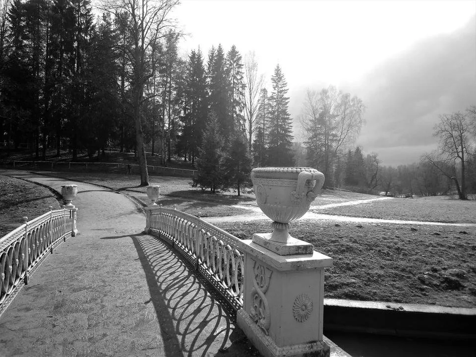 DSC09450 (2).JPG