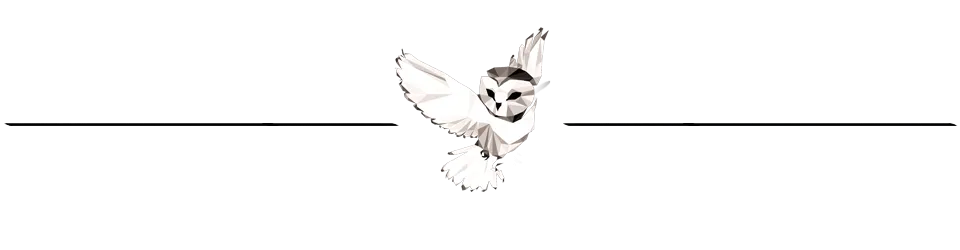 nightowlbreak1.png