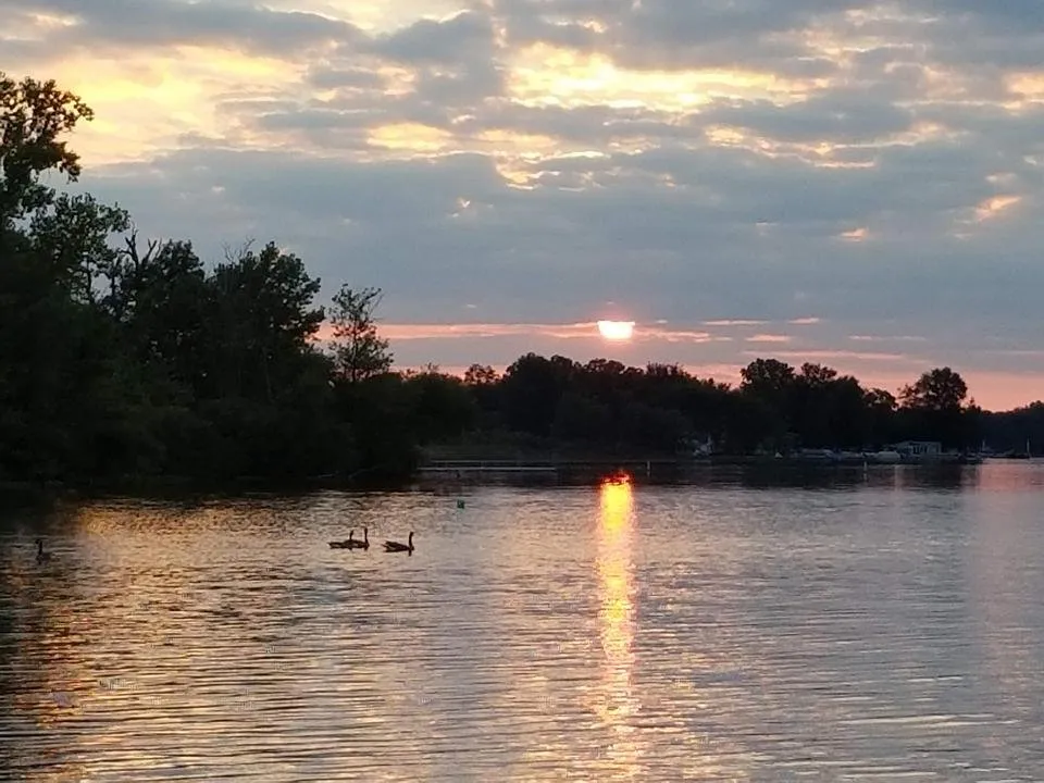 20180912_193800.jpg