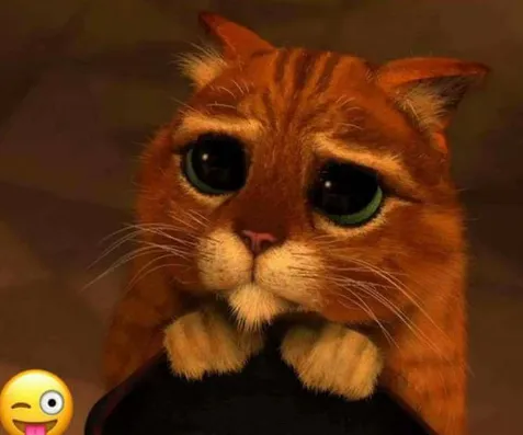 Screenshot (1201).png