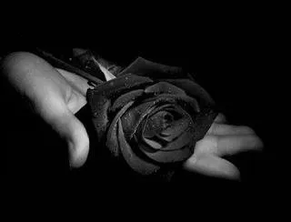 giving-a-black-rose.jpg