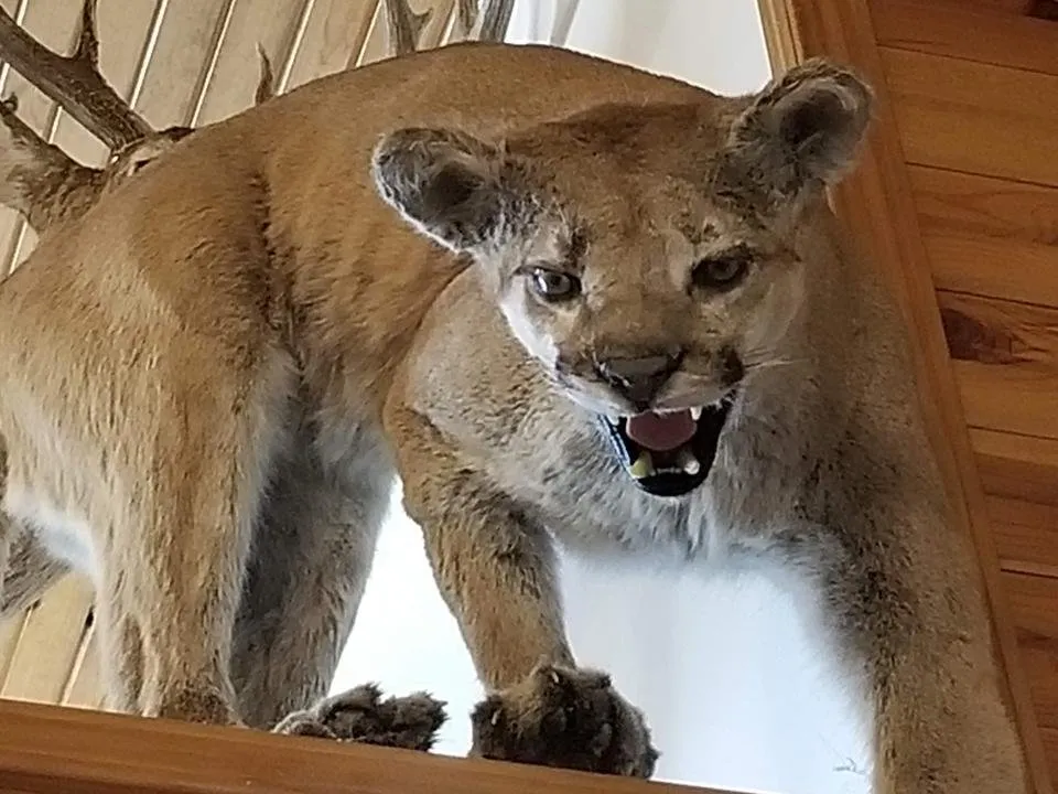 20190327_181920.jpg