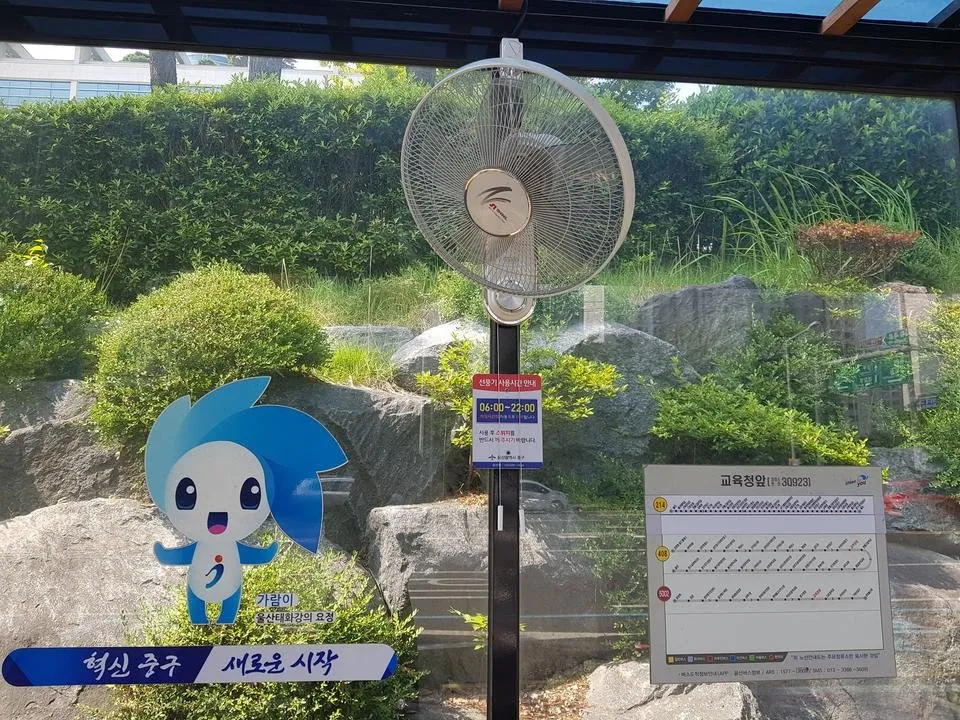 20190714_150109.jpg