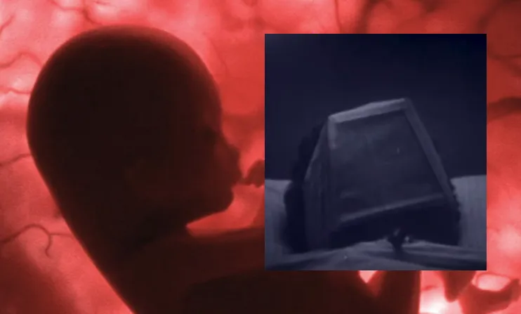 fetus.png