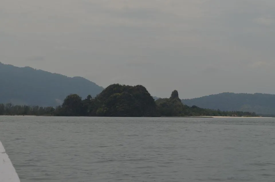 DSC_1138.JPG