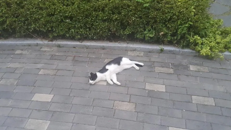 KakaoTalk_20180803_211640287.jpg