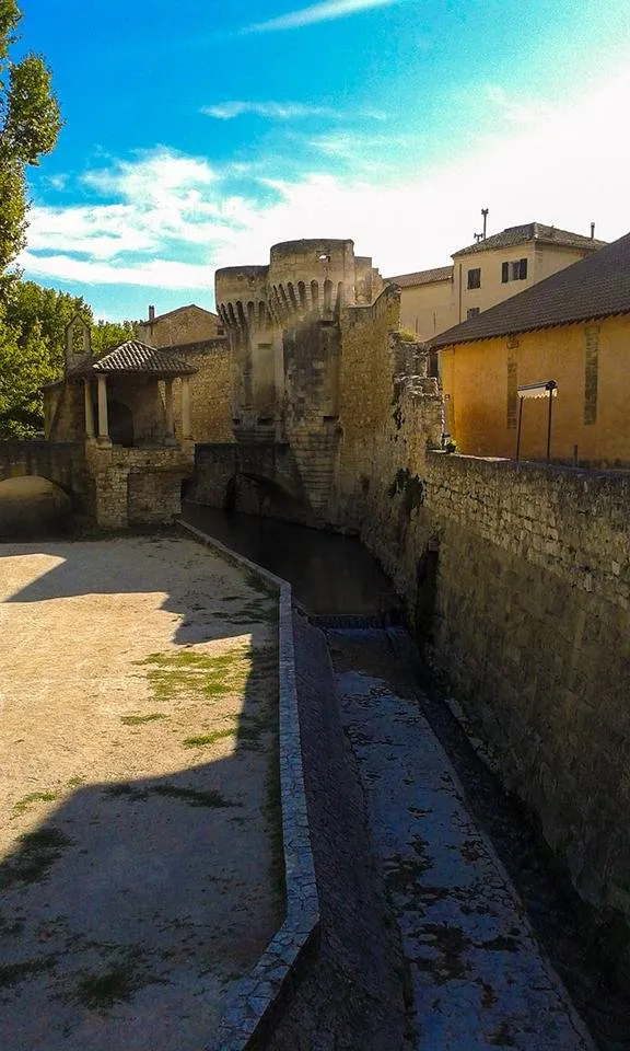 20130825_095537.jpg