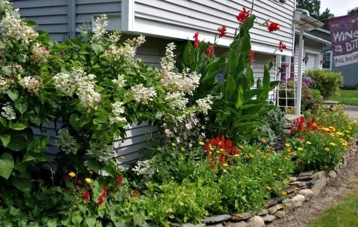 a butterfly garden h.jpg