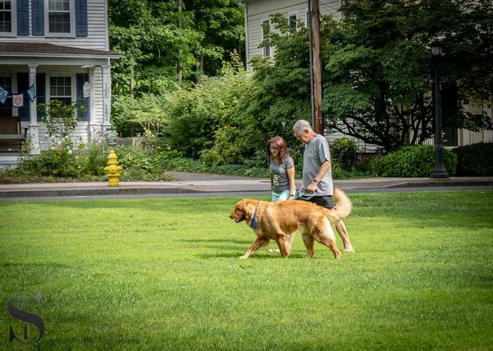 Wednesday Walk on the green-3.jpg