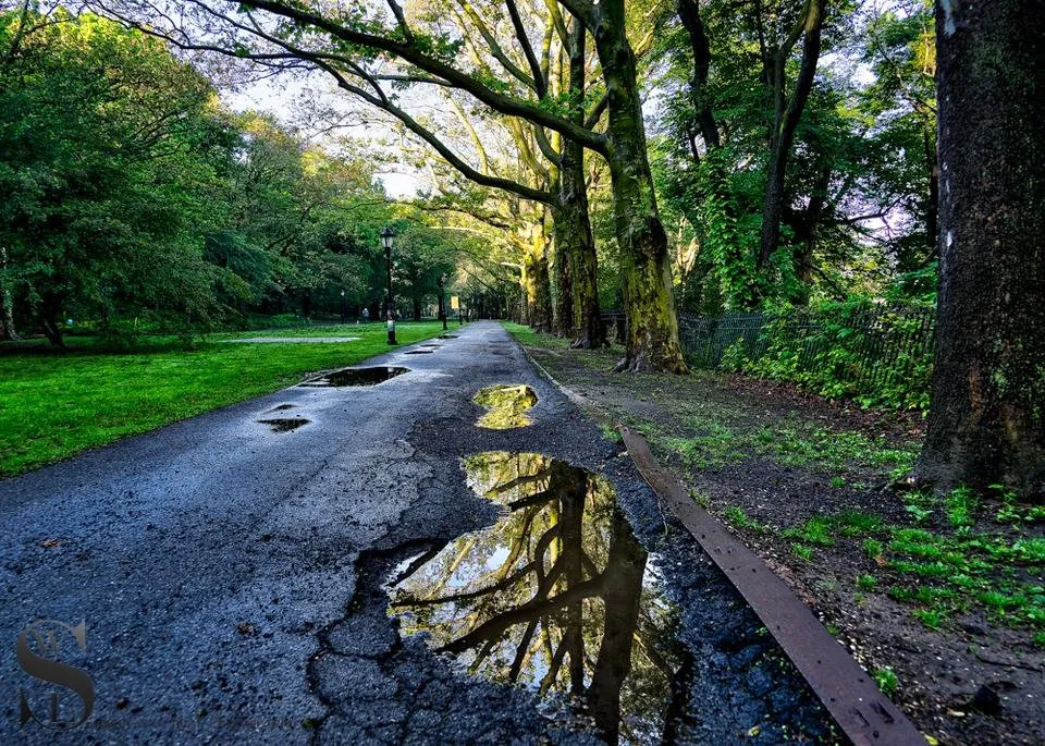 1 Wednesday Walk Riverside park west-3.jpg