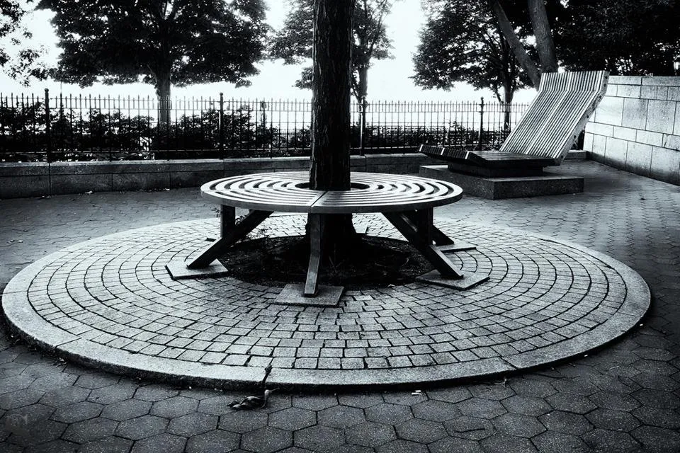 1 Wednesday Walk outtakes Benches-2.jpg
