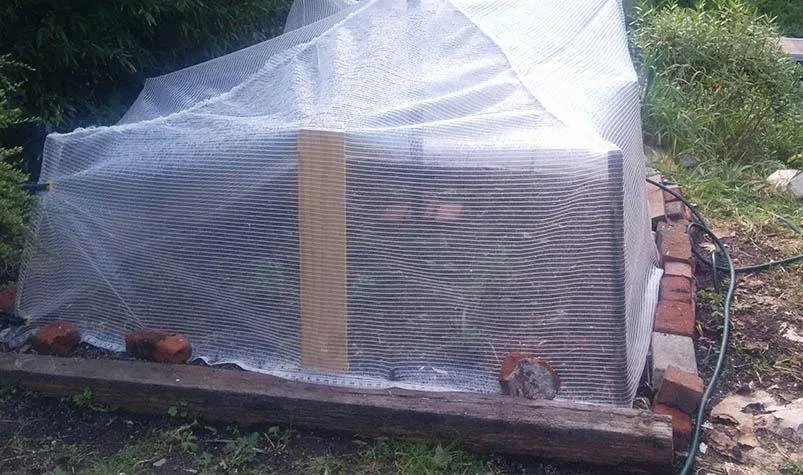garden1.jpg