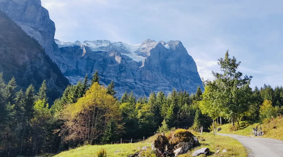 Screenshot 2019-02-04 at 21.53.22.png