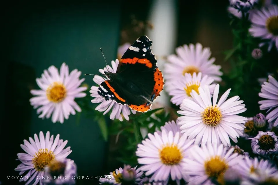 141018_0413.jpg