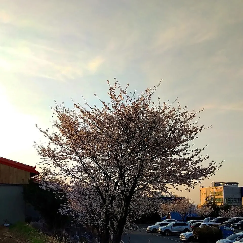 IMG_20190404_180431_130.jpg