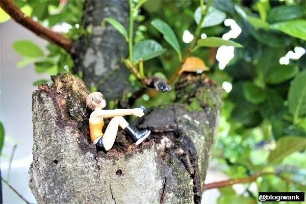 macrophotography-boneka-9jpg