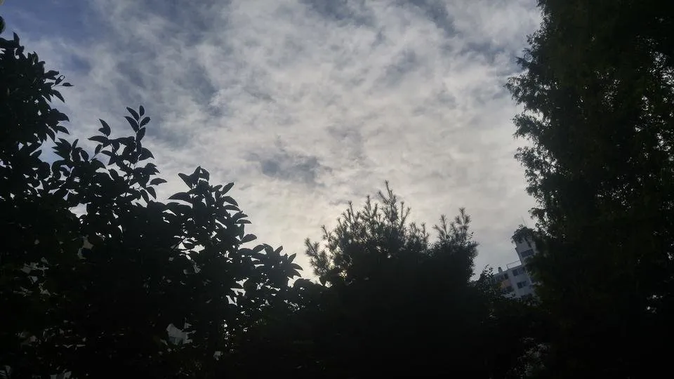20180907_084751_HDR.jpg