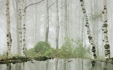 6228