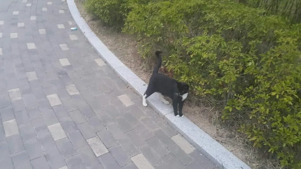 KakaoTalk_20180803_211642925.jpg
