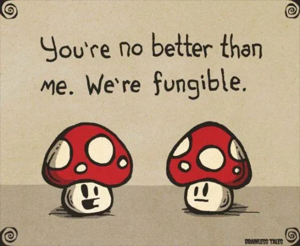 CryptocurrencyFungibility-e1558221683118-shrooms.jpeg