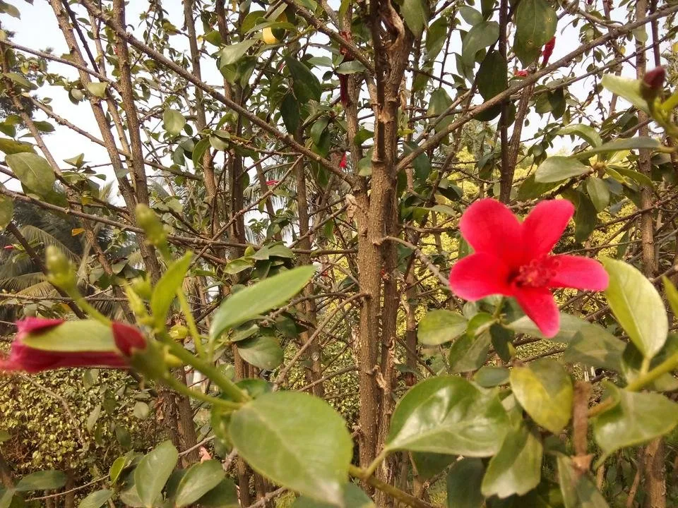 IMG_20181225_123944.jpg