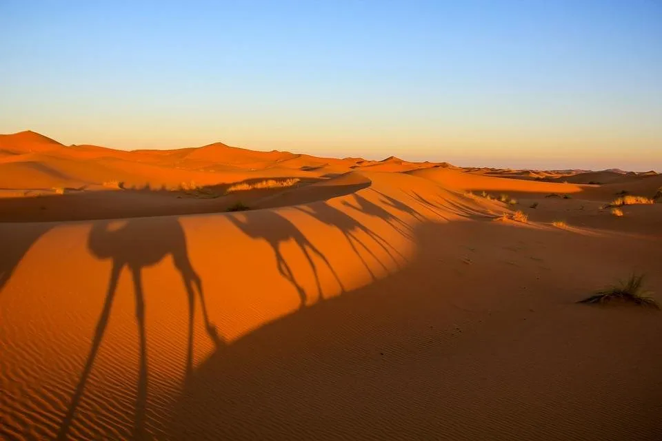 Schatten Wueste.jpg