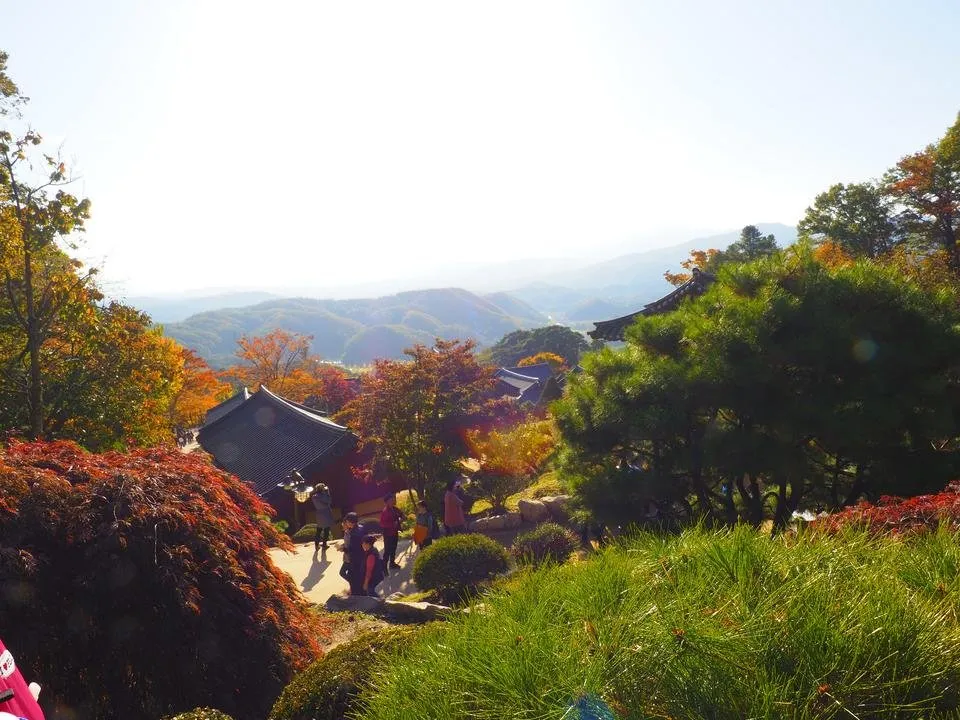 _A210403.JPG