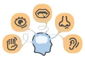 sensory-integration-300x213.jpg
