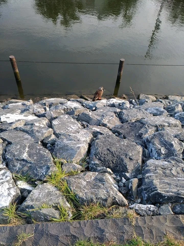 20180722_165828_585.jpg