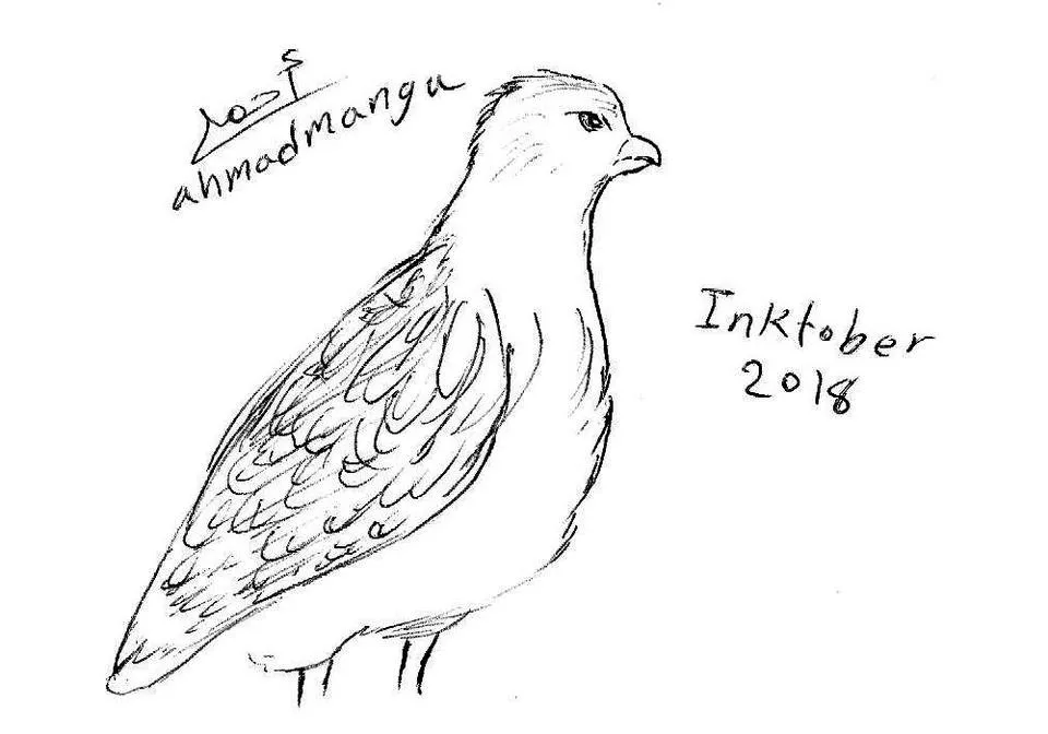 inktober23-Birds01.jpg