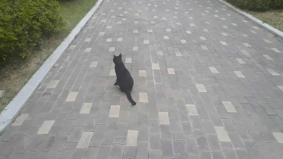 KakaoTalk_20180803_211640754.jpg