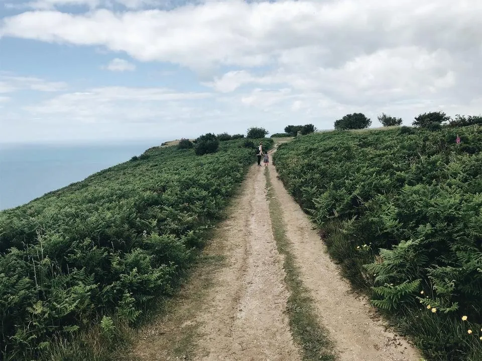 JPEG image-6DCE7F4411E8-10.jpeg