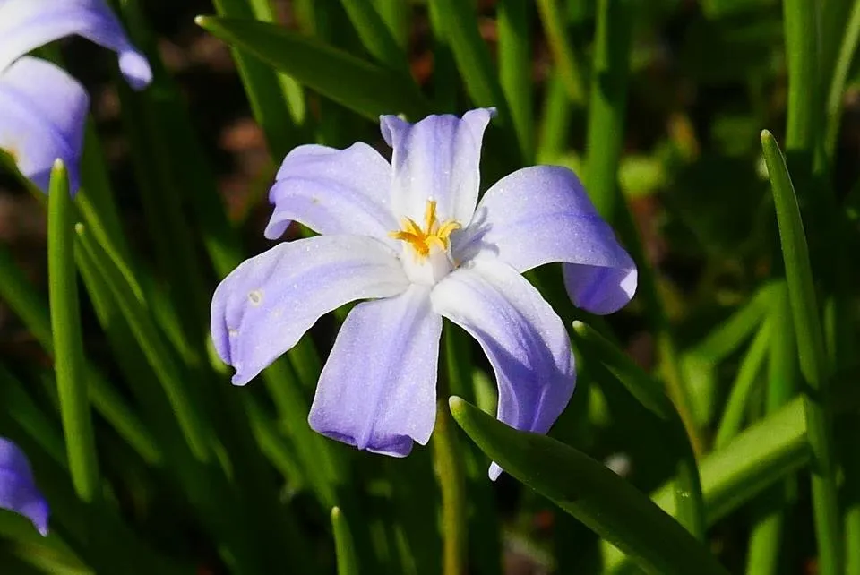P1100915.JPG