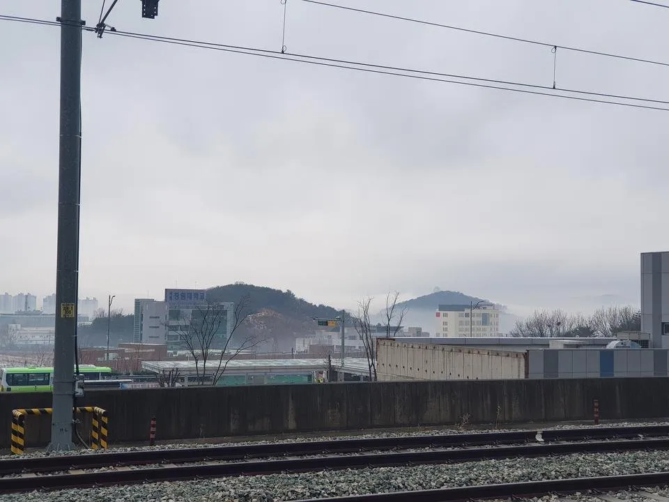 20190203_103828.jpg