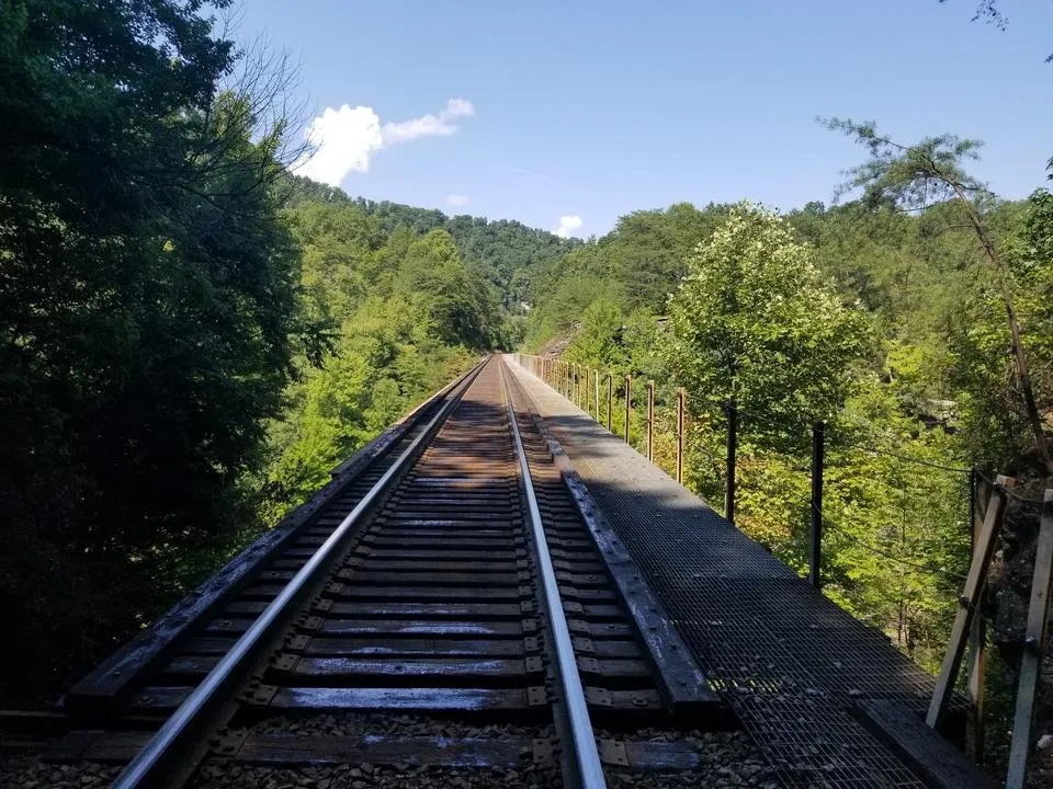 20180804_155250.jpg